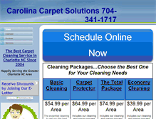 Tablet Screenshot of carolinacarpetsolutions.com